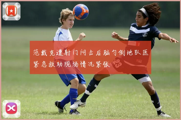 范戴克遭射门闷击后脑勺倒地队医紧急救助现场情况紧张